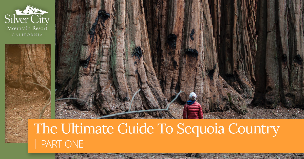 The Ultimate Guide To Sequoia Country 1.jpg