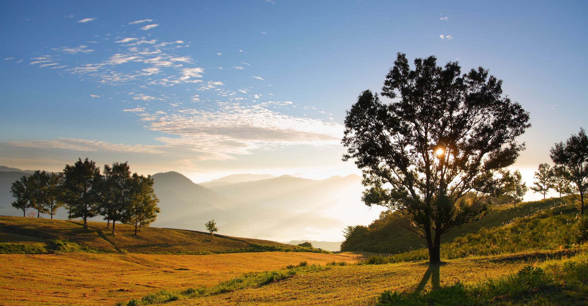 Open rolling green hills