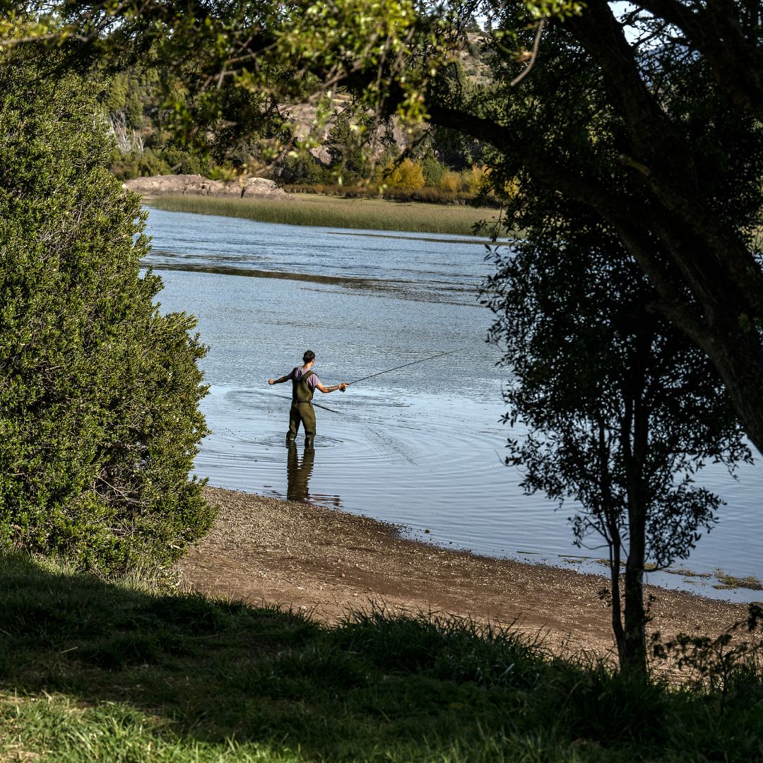 Man fly fishing through trees