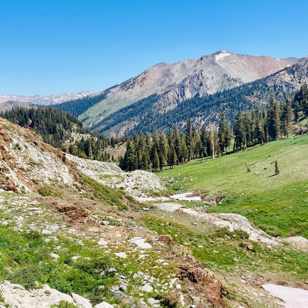 Discovering the Best Picnic Spots in Mineral King Image 2.jpg