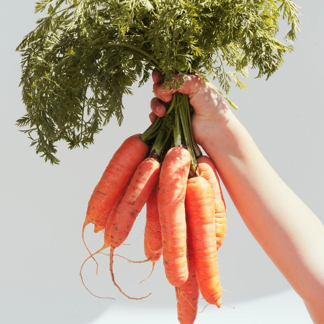 Farm Fresh carrots