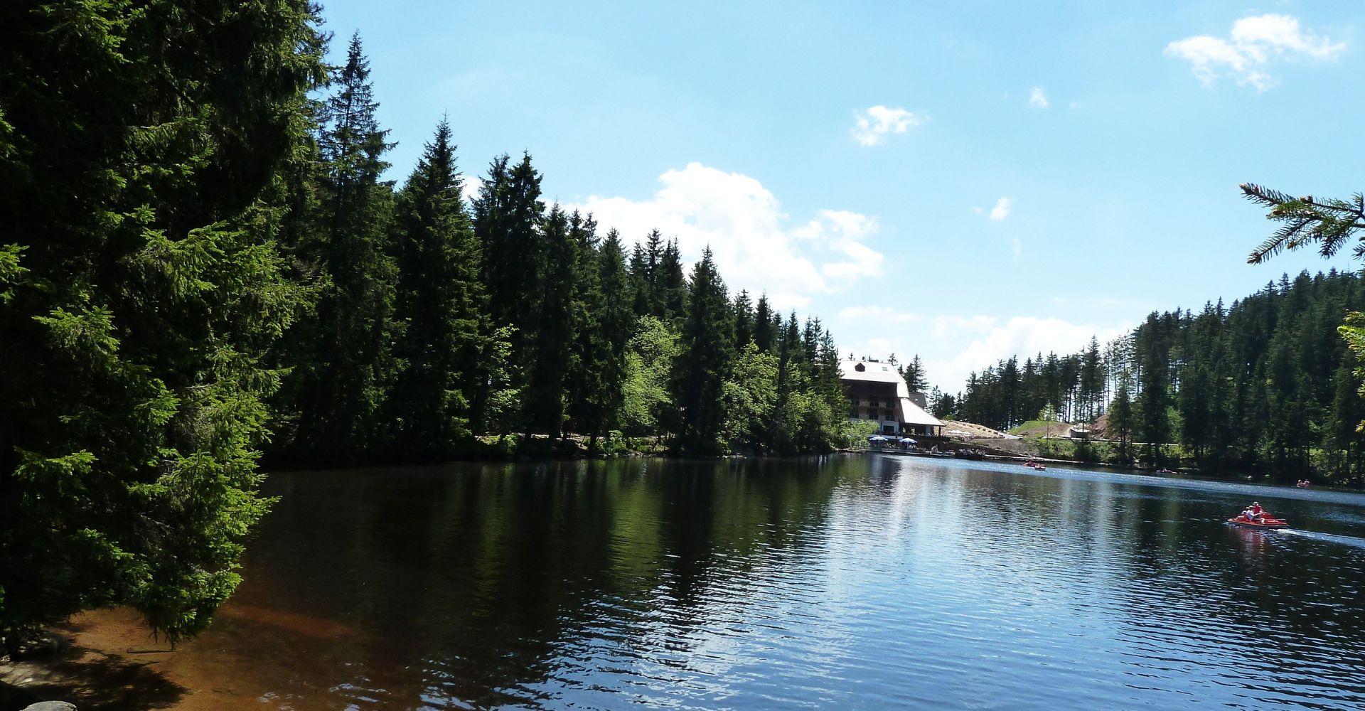 Open lake in woods