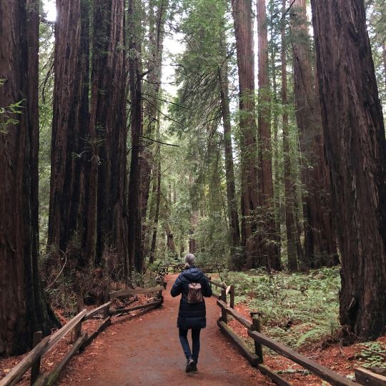 History of Sequoia National Park 4.jpg