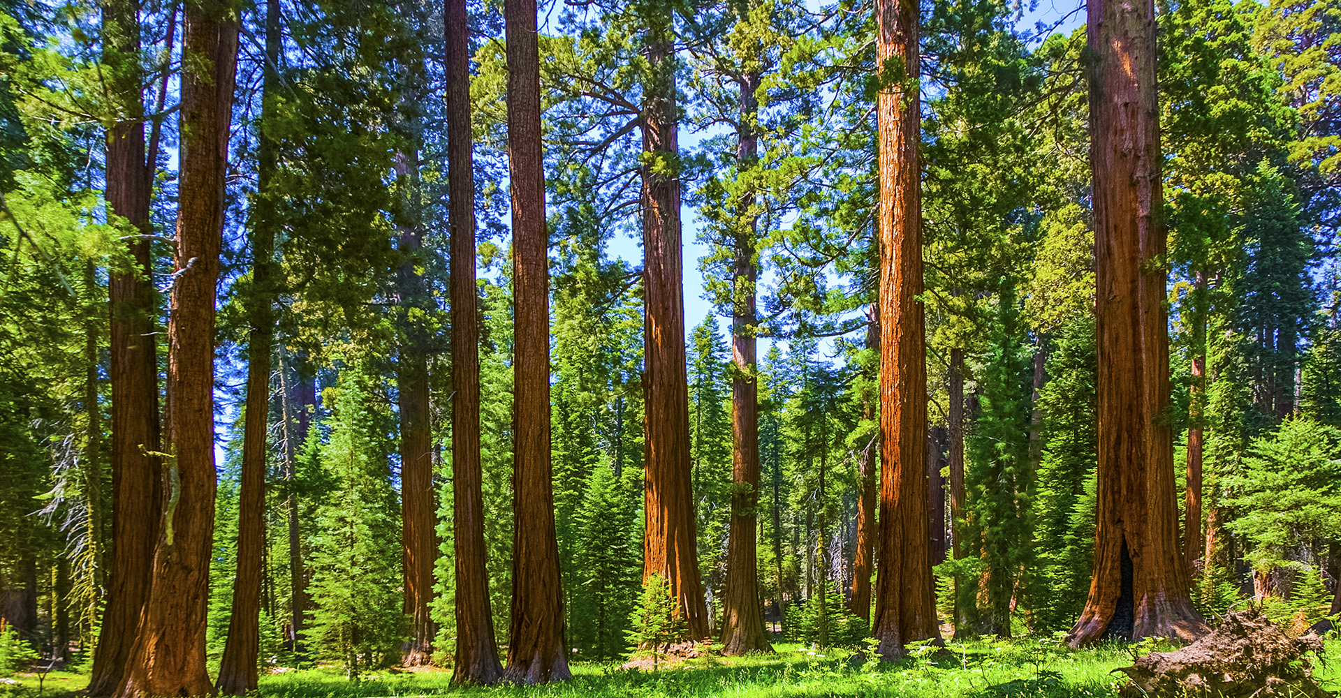 Why Choose the Mineral King Mountains for Your Next Vacation BB Featured Image.jpg